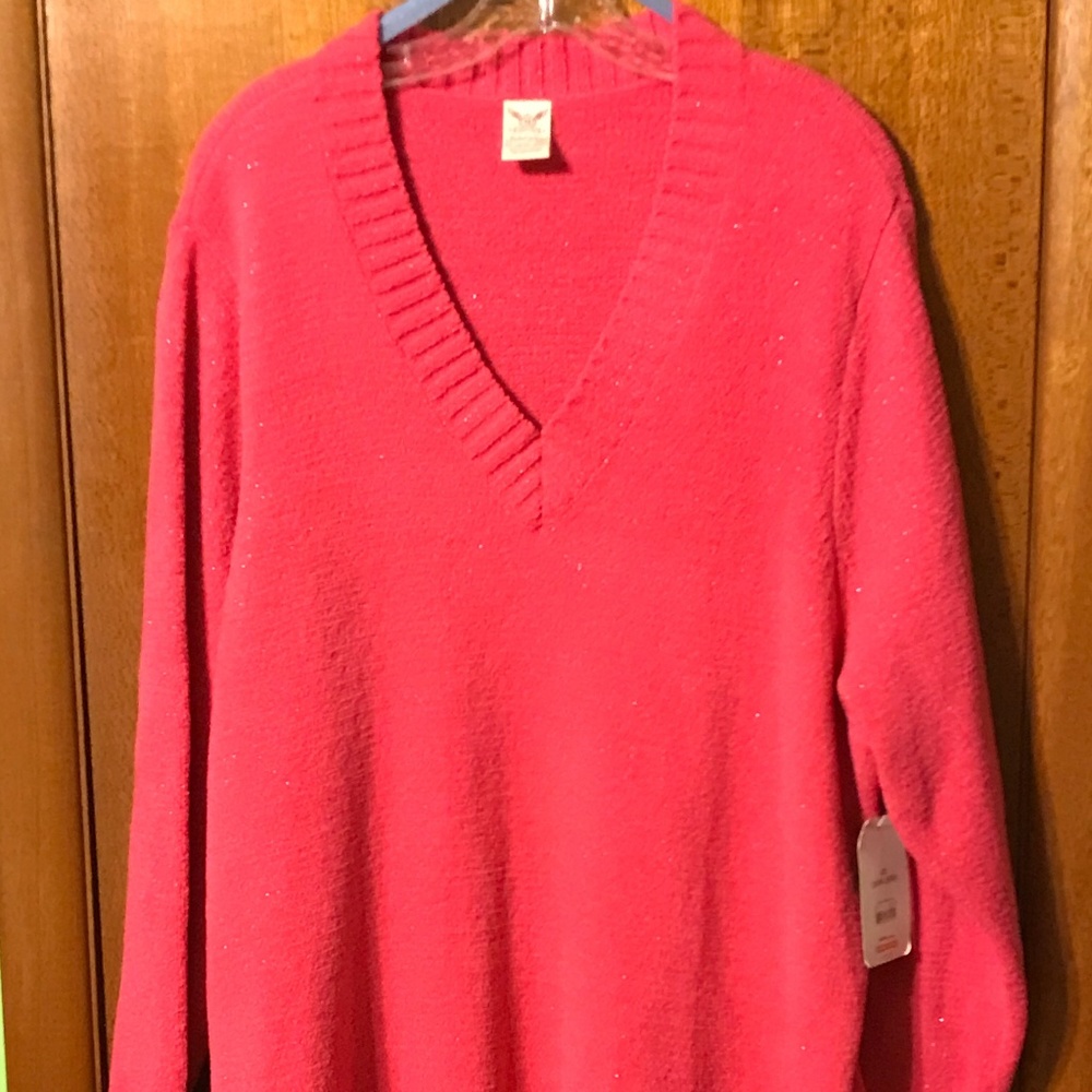 Pink sparkly V neck plus size sweater NWT